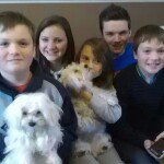 sue eddy - @jcbmum3 - Instagram