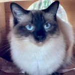 Sue Eddy - @s_edd0 - Instagram