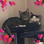 Sue Eddy - @krimesmum - Instagram