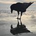 Sue Eddy - Facebook