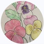 Sue Eddy - @susan48eddy - Instagram