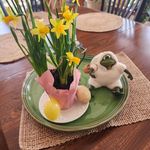Sue Eddy - @sueeddy2023 - Instagram