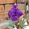 Sue Eddy - @sue.eddy2 - TikTok