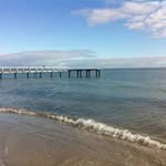 Sue Edmonds - @edmonds8167 - Instagram