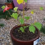 Sue Edmonds - @edmonds.sue - Instagram