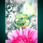 Sue Edmonds - @sue_edmonds - Instagram