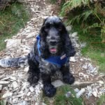 Sue Edmonds - @sueedmonds22 - Instagram