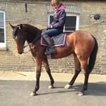 Sue Edmondson - @sueedmondson - Instagram