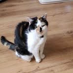 Sue Eley - Facebook