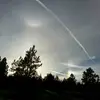 buzzsue - @sueengel5 - TikTok
