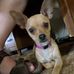 Adventures of Speedy Sue and Ernest T. - Facebook