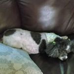 Sue Ewald - @sueewald - Instagram