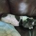 Sue Ewald - Facebook