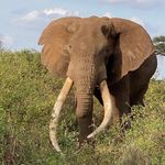 Sue Ewald Cedarholm - @takeitwithyoutravel - Instagram
