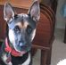 Sue E. Fairfield - Facebook