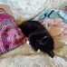Susie Fairfield - Facebook