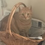 Sue Farley - @suzannefarley523 - Instagram