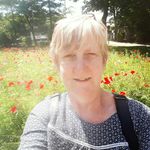 Sue Farley - @flame_lily65 - Instagram
