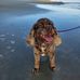 Susan Farley - Facebook