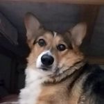 Sue Flaherty - @gamer_girrl5 - Instagram