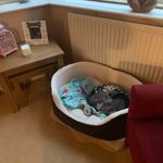Sue Flaherty - @sueflahertyy - Instagram