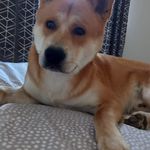 Sue Flaherty - @suzydaz40 - Instagram