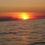 Sue Flewelling - @flewellingsue - Instagram