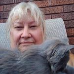 Sue Foley - @sue.foley.733 - Instagram