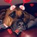 Sue Foley - Facebook