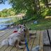 Sue Foley - Facebook