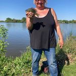 Sue Foley - @suefoley66 - Instagram