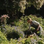Sue Foley - @sue_the_well_house_gardener - Instagram