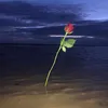 Sue - @suefoley3 - TikTok