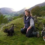 Sue Forrest - @sueforrest1937 - Instagram