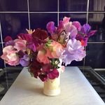 Sue Forrest - @sueforrest558 - Instagram