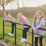 Sue Forrest - @forrestsue - Instagram