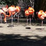 Sue Forrest - @sueforrest62 - Instagram