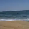 sueforrest - @sueforrest - TikTok