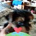 Sue Gabriel - Facebook