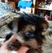 Sue Gabriel - Facebook