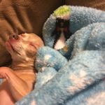 Sue Galloway - @galloway.sue - Instagram