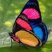 Sue Galloway - Facebook