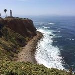Sue Galloway Pommers - @gallowaypommers - Instagram