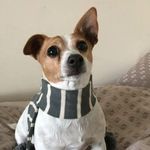 Sue Gamble - @sue.gam - Instagram