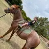 Sue Gamble Bazinet - @sue.gamble.bazine - TikTok