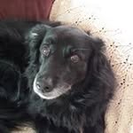 Sue Garber - @susie3768 - Instagram