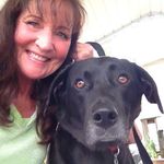 Sue Garner - @sue.garner.54943 - Instagram