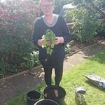 Sue Garner - @sue1379 - Instagram