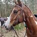 Sue Garner - Facebook