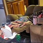 Sue Garner - @suegarner951 - Instagram